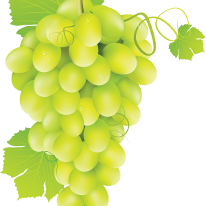 Green grape PNG image
