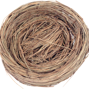 Nest PNG