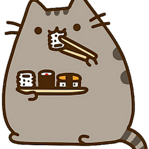 Pusheen PNG