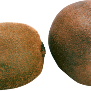 Two kiwis PNG image picture