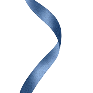 blue ribbon PNG image
