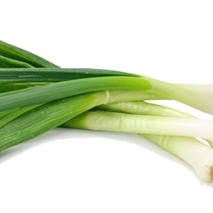 Leek PNG