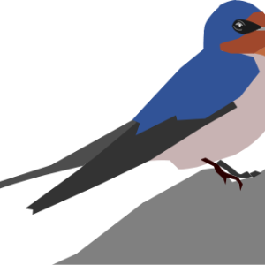 Swallow PNG