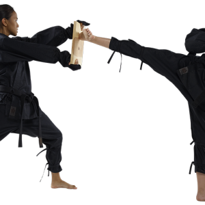 Karate PNG
