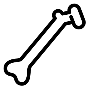 Bone PNG