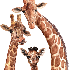 Giraffe PNG