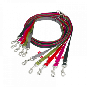 Leash PNG