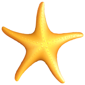 Starfish PNG