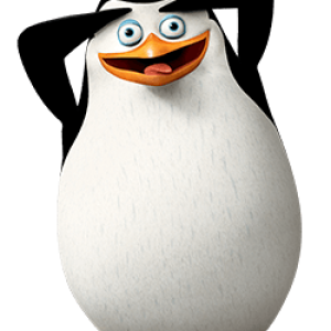 Madagascar penguins PNG
