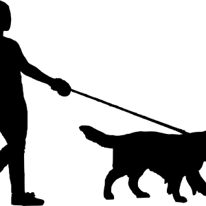 Leash PNG