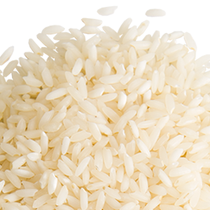 rice PNG