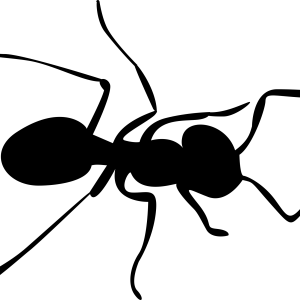 ant PNG