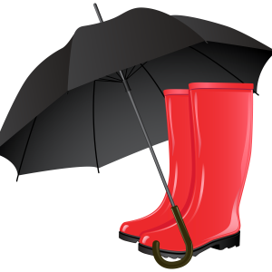 Rubber boots PNG