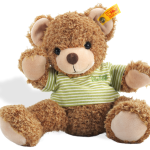 Teddy bear PNG