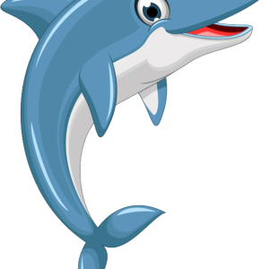 Dolphin PNG