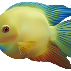 Fish PNG