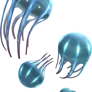 Jellyfish PNG