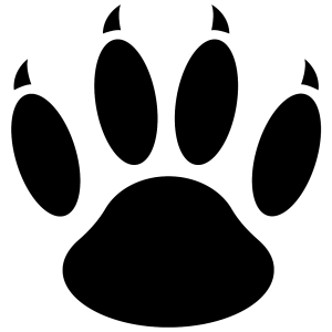 Paw PNG