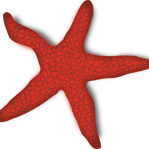 Starfish PNG