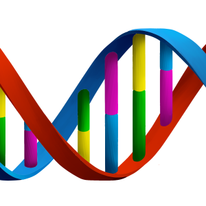 DNA PNG