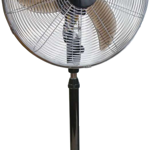 fan PNG