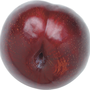 Plum PNG image