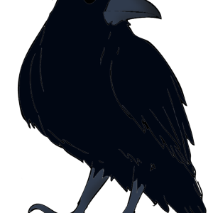 Raven PNG