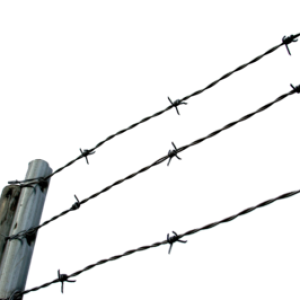 Barbwire PNG