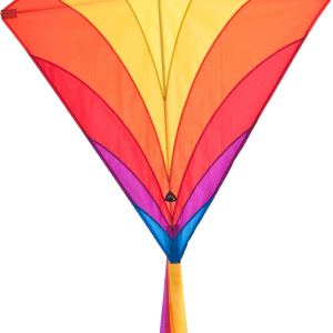 Kite PNG