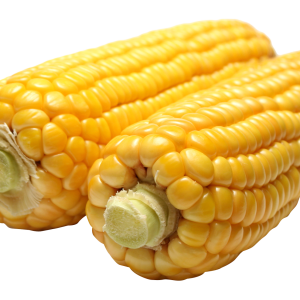 Corn PNG