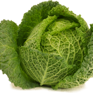 Cabbage PNG image