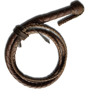 Whip PNG
