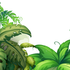 Jungle PNG