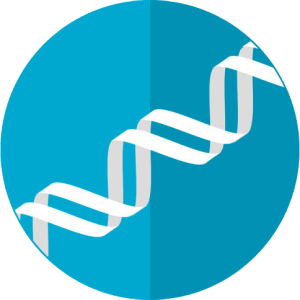 DNA PNG