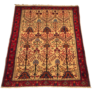 Carpet, rug PNG