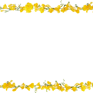 Floral frame PNG
