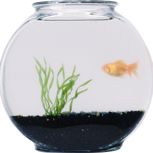 Aquarium PNG