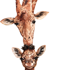 Giraffe PNG