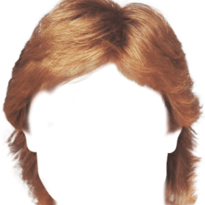 Hair wig PNG