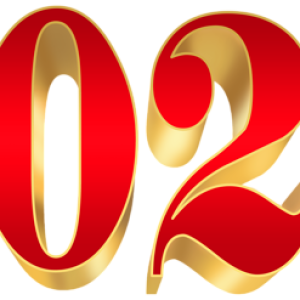 2023 year PNG