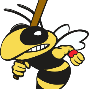 Wasp PNG