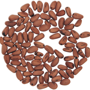 Pine nuts PNG