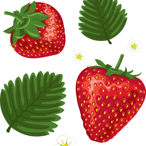 Strawberry with green leaves PNG images