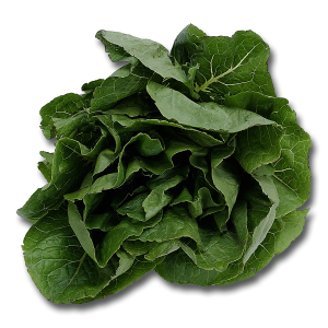 Spinach PNG