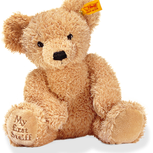 Teddy bear PNG