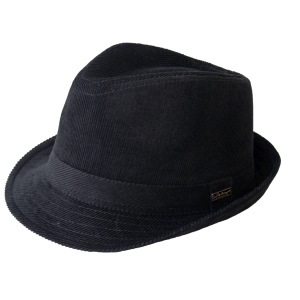 Bowler hat PNG