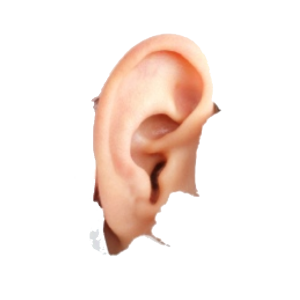 Ear PNG