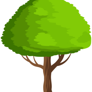 tree PNG