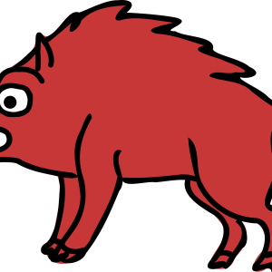 Boar PNG