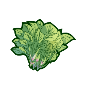 Spinach PNG